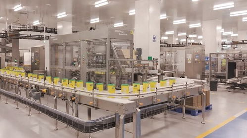 聯(lián)合利華全國(guó)首個(gè)全品類食品工廠投產(chǎn)，智能制造與供應(yīng)鏈協(xié)同樹立新標(biāo)桿