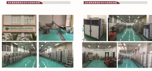 秦皇島博釀酒類技術(shù)服務(wù)有限責(zé)任公司邀您共赴2018上海果酒展